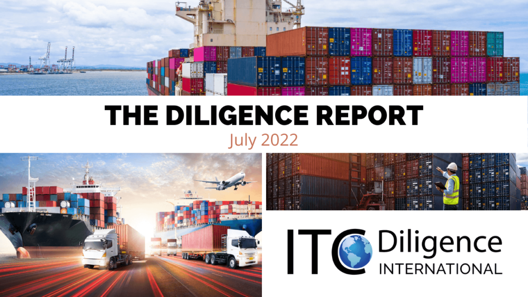 THE DILIGENCE REPORT July 2022